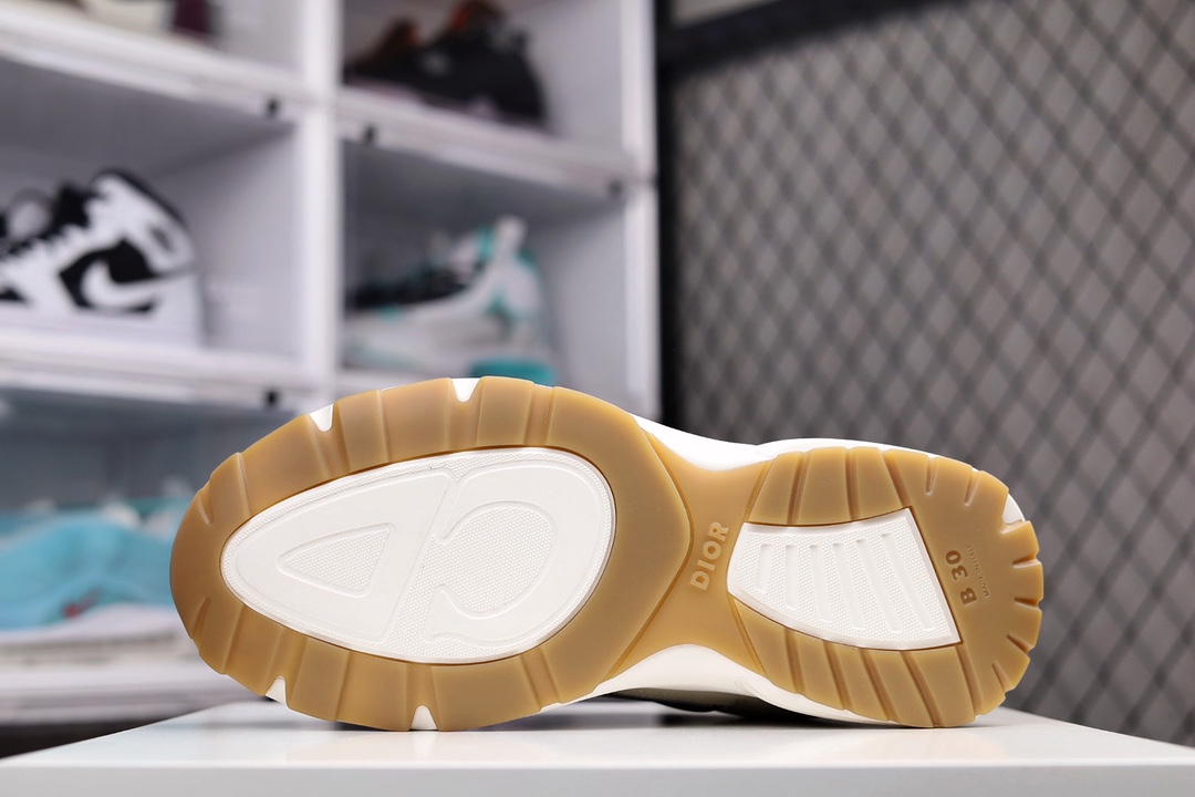 Dior B30 Dad Sneakers Biege