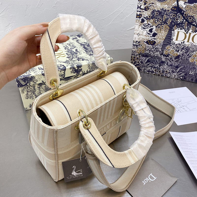 Dior The LADY D-LITE Bag