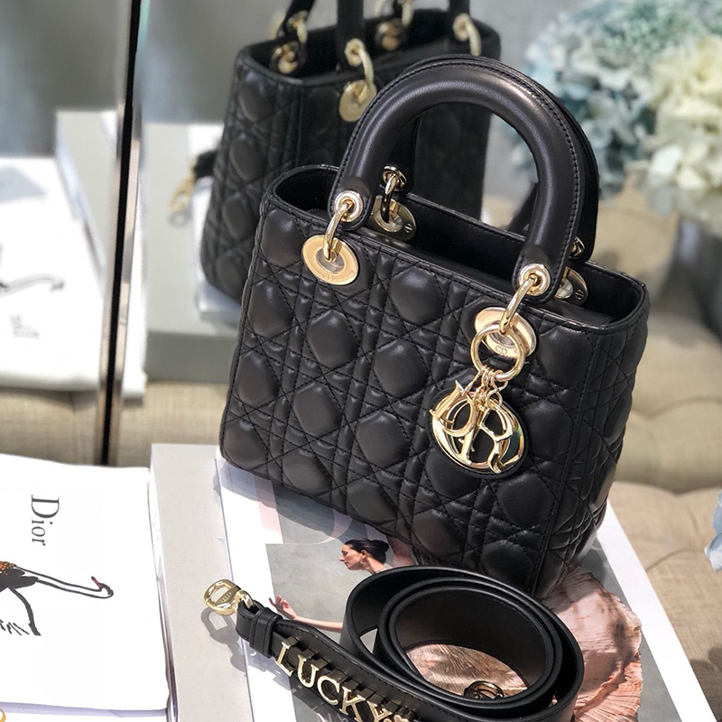 Dior The LADY D-LITE Bag