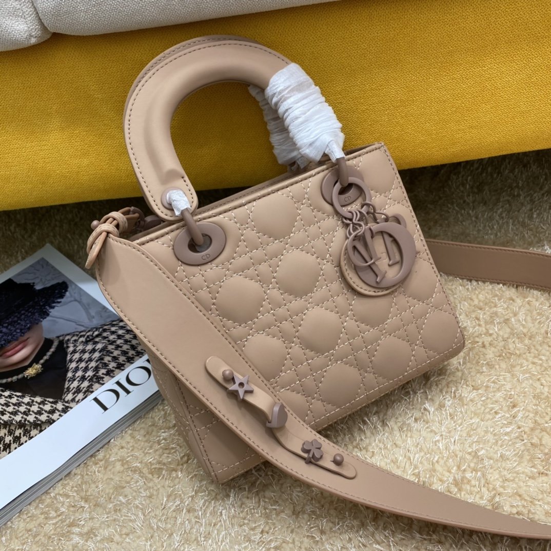 Dior The LADY D-LITE Bag
