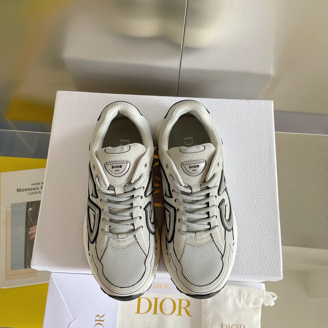 Dior B30 Dad Sneakers Gray