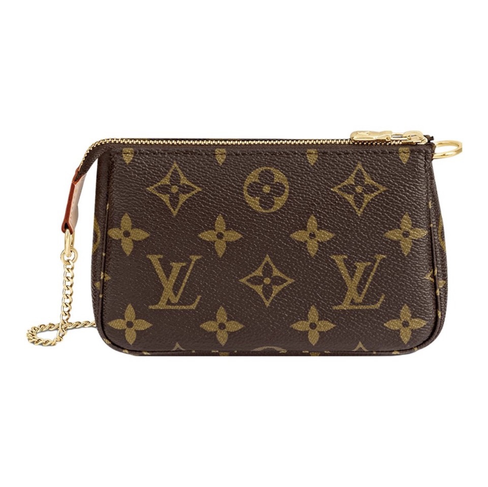 Louis Vuitton LV Easy Pouch Bag