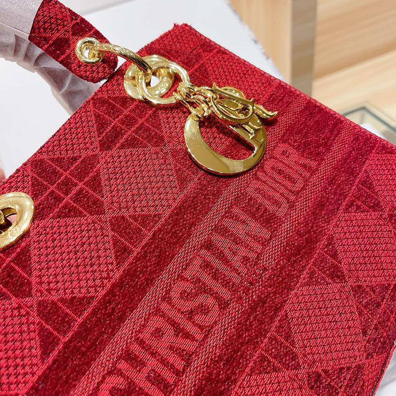 Dior The LADY D-LITE Bag