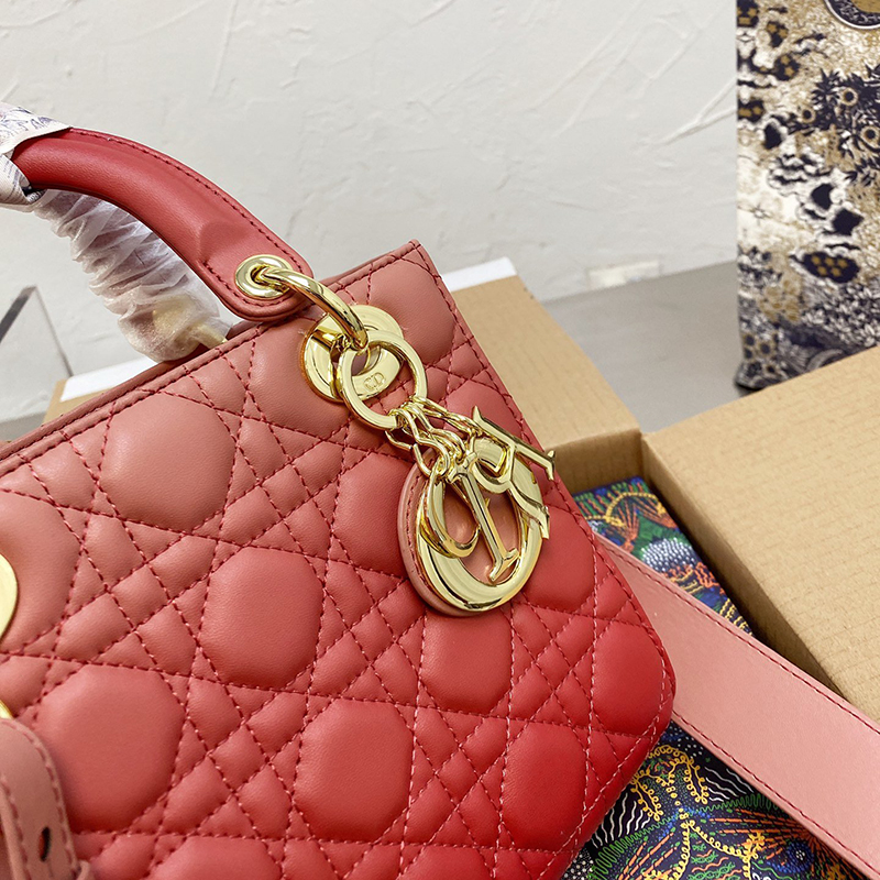 Dior The LADY D-LITE Bag