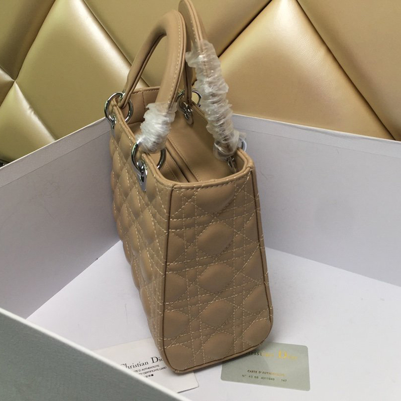 Dior The LADY D-LITE Bag