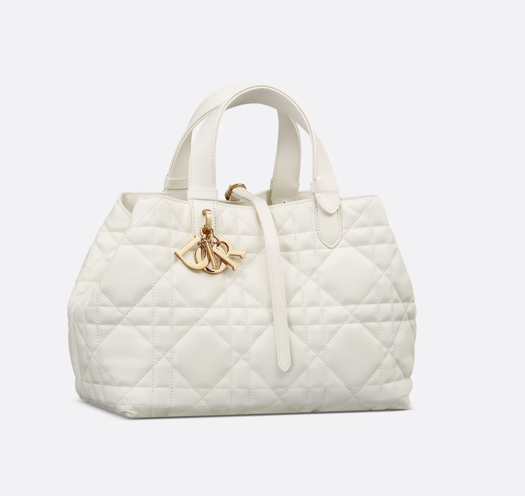 Dior Toujours Small Cowhide