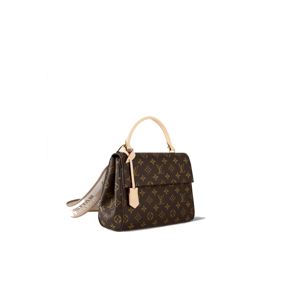 LV Cluny Bag