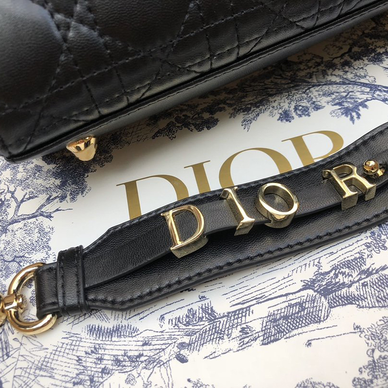 Dior The LADY D-LITE Bag
