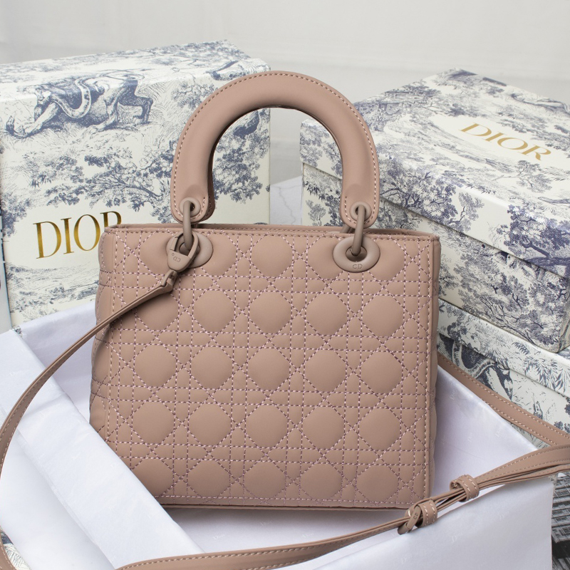 Dior The LADY D-LITE Bag