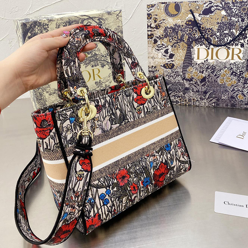 Dior The LADY D-LITE Bag