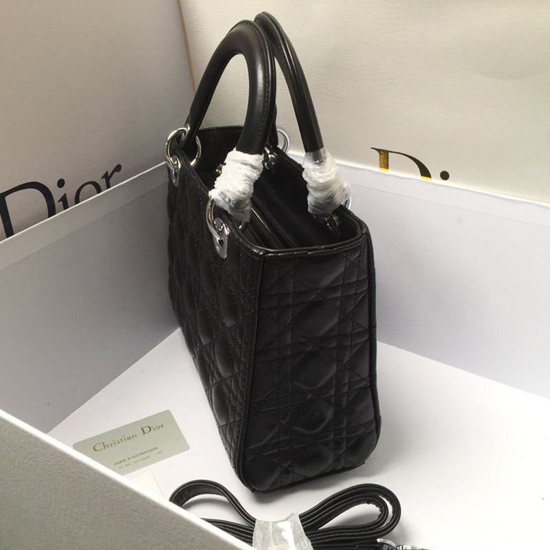 Dior The LADY D-LITE Bag