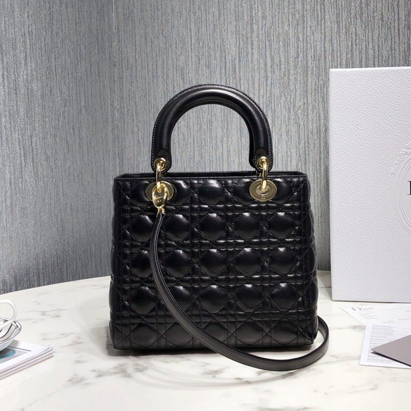Dior The LADY D-LITE Bag