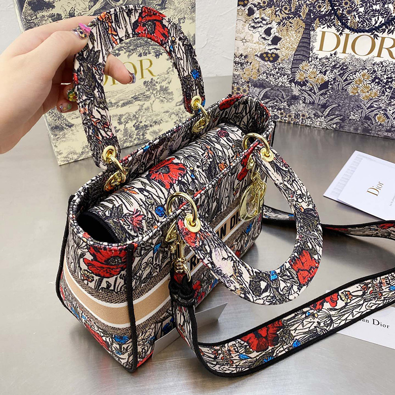 Dior The LADY D-LITE Bag