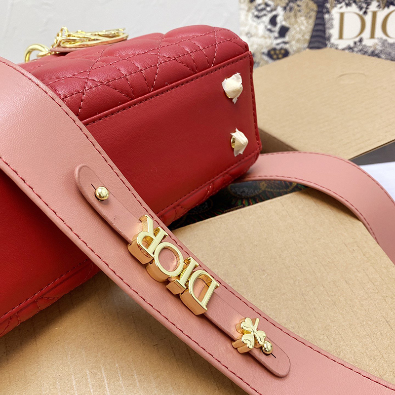 Dior The LADY D-LITE Bag