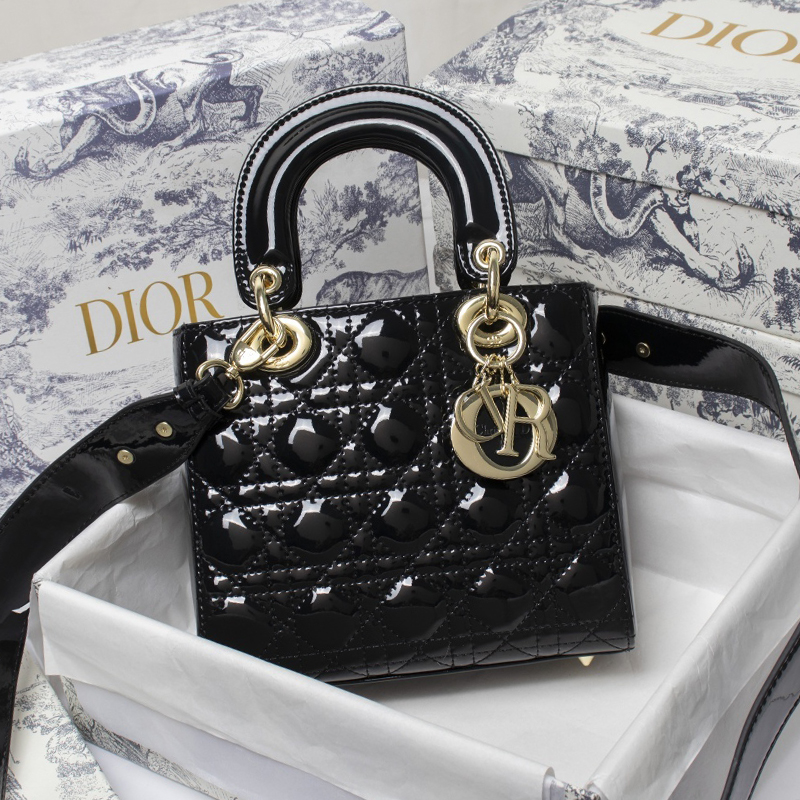 Dior The LADY D-LITE Bag
