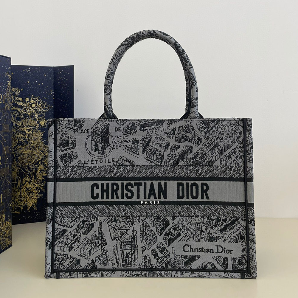 DIOR Book Tote Paris Map Bags