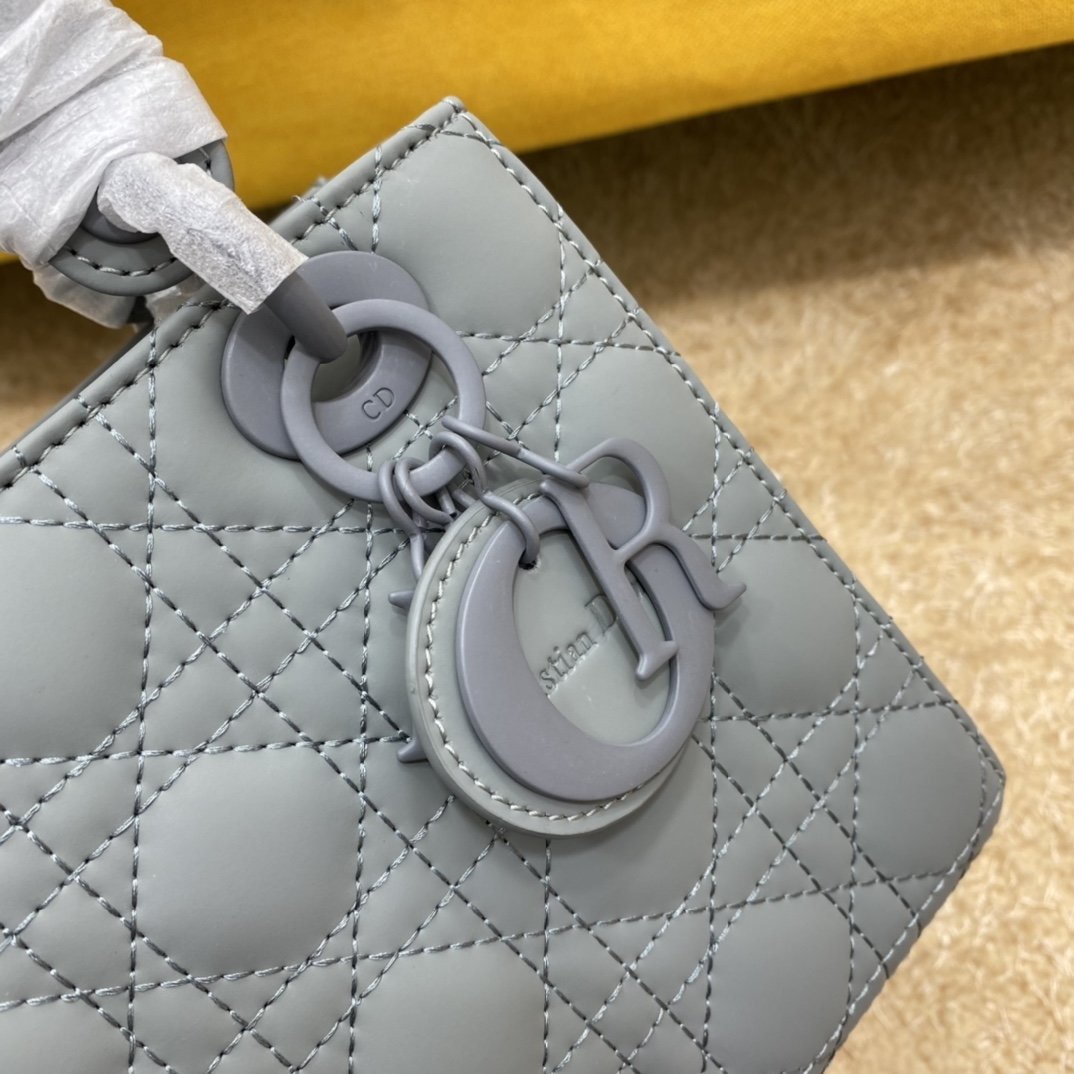 Dior The LADY D-LITE Bag