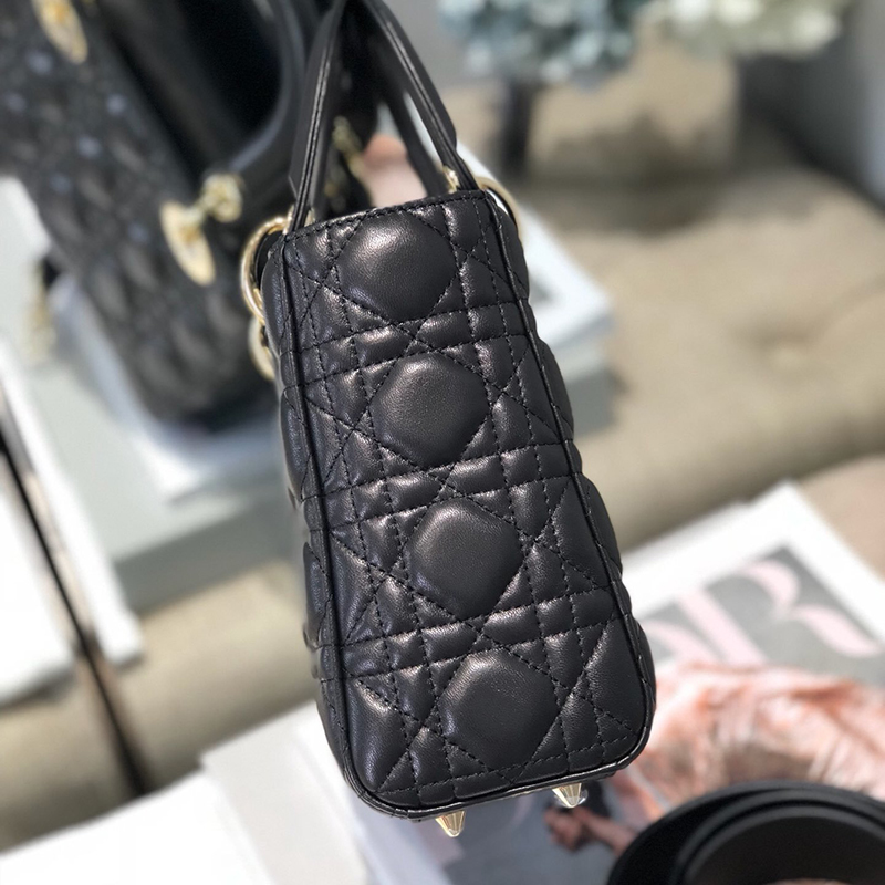 Dior The LADY D-LITE Bag