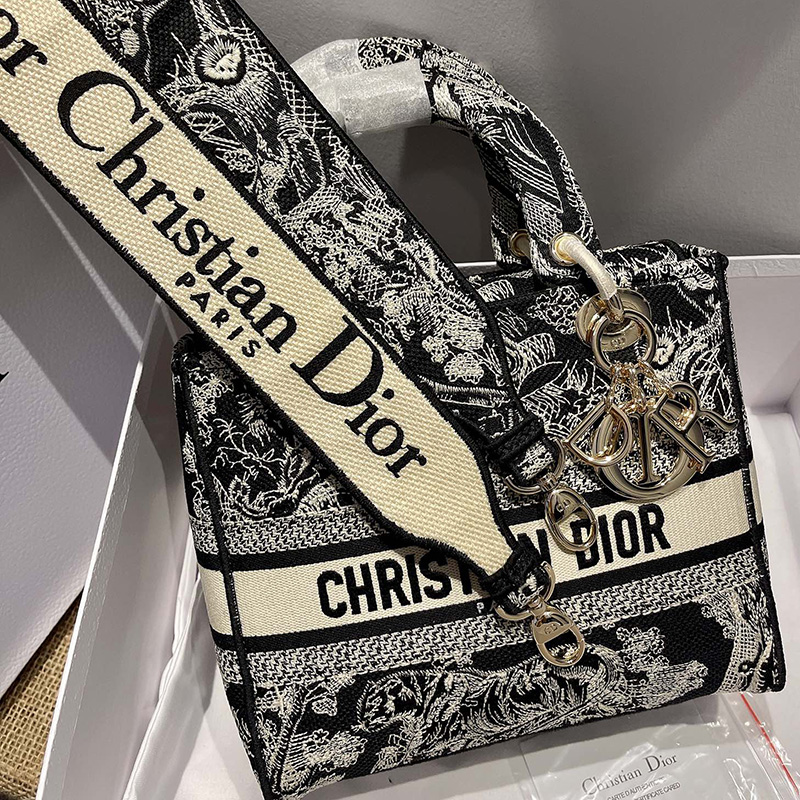 Dior The LADY D-LITE Bag Blue Toile de Jouy Reverse Embroidery M0565ORGO_M928