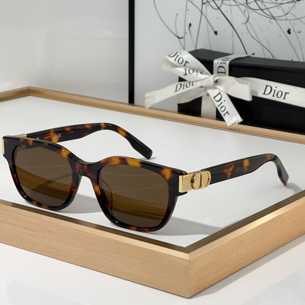 Dior  Hinge Design Acetate Fibre sunglasses