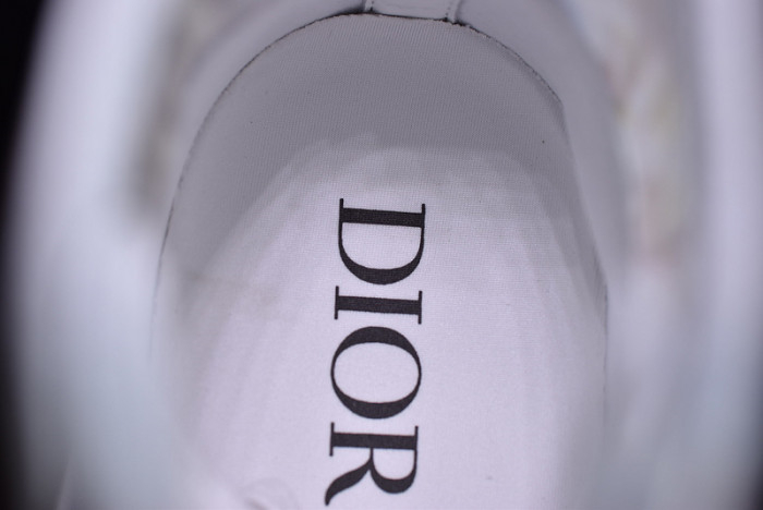 Dior B23 OBLIQUE LOW black white Shoes T00480H051
