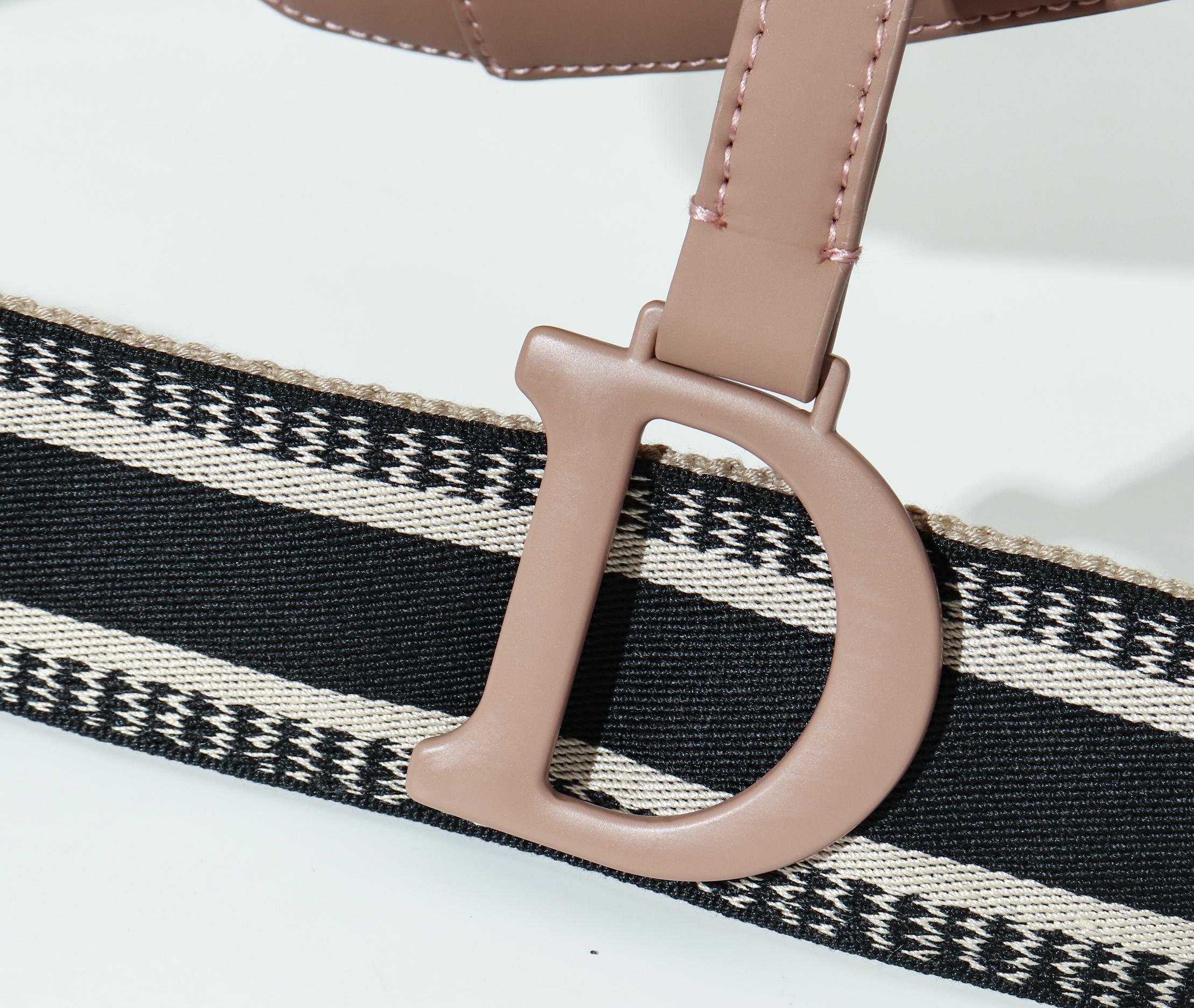 Dior Womens Bag Saddle Bag