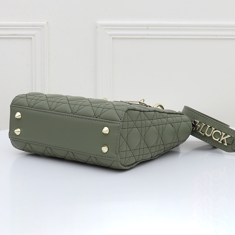 Dior The LADY D-LITE Bag