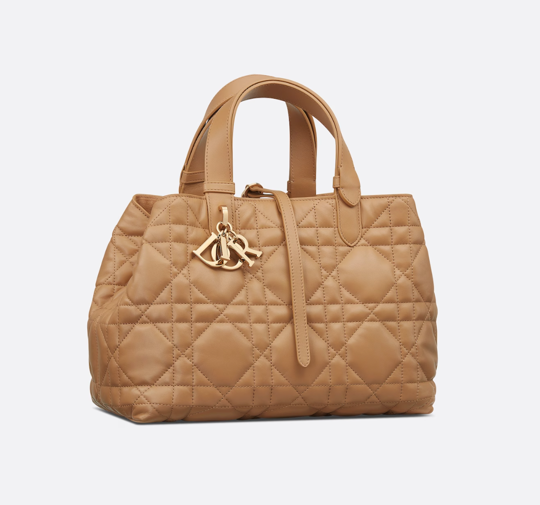 Dior Toujours Small Cowhide