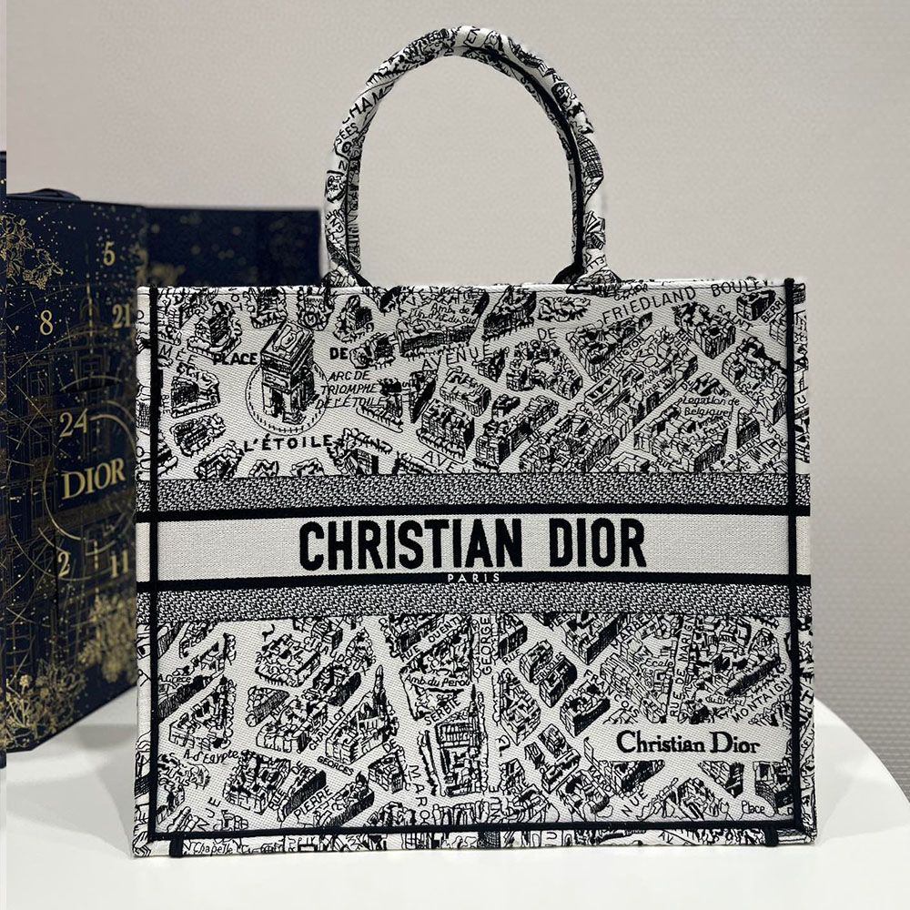 DIOR Book Tote Paris Map Bags