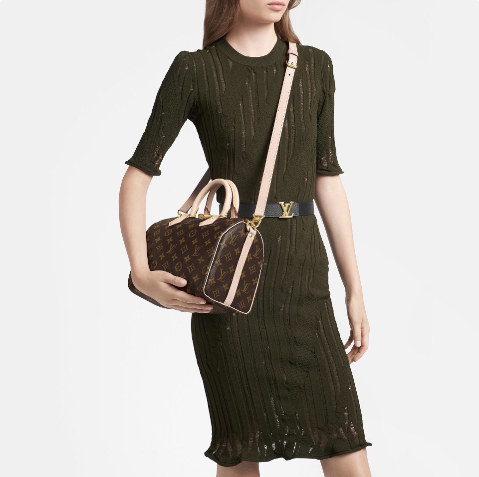 Louis Vuitton LV Speedy 25