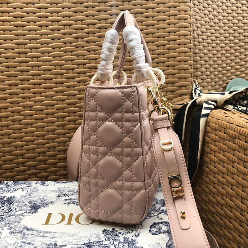 Dior The LADY D-LITE Bag