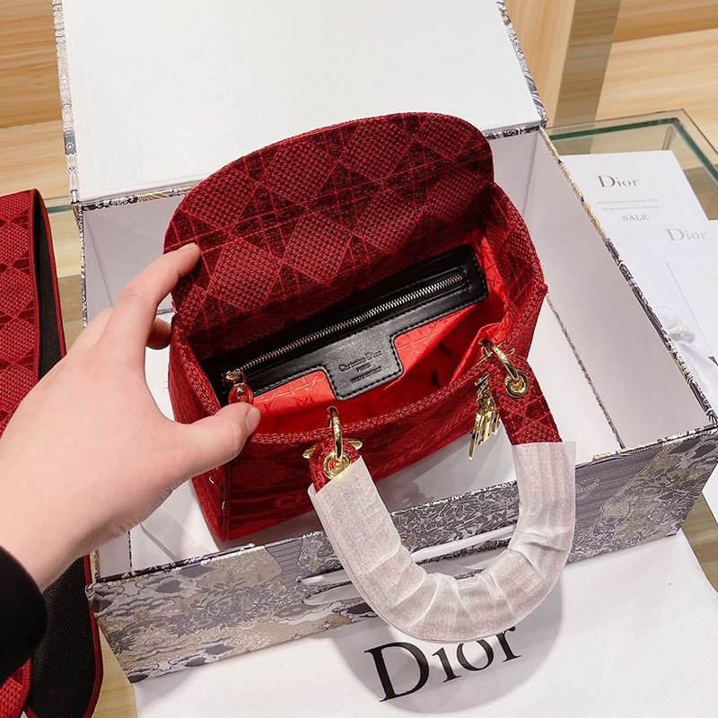 Dior The LADY D-LITE Bag