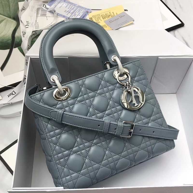 Dior The LADY D-LITE Bag