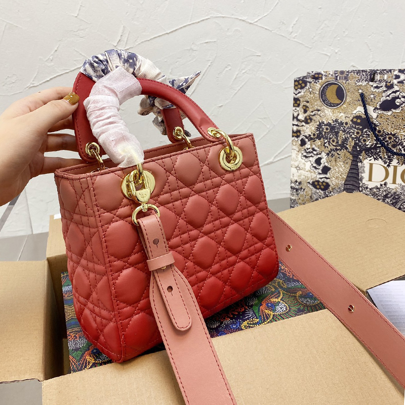 Dior The LADY D-LITE Bag