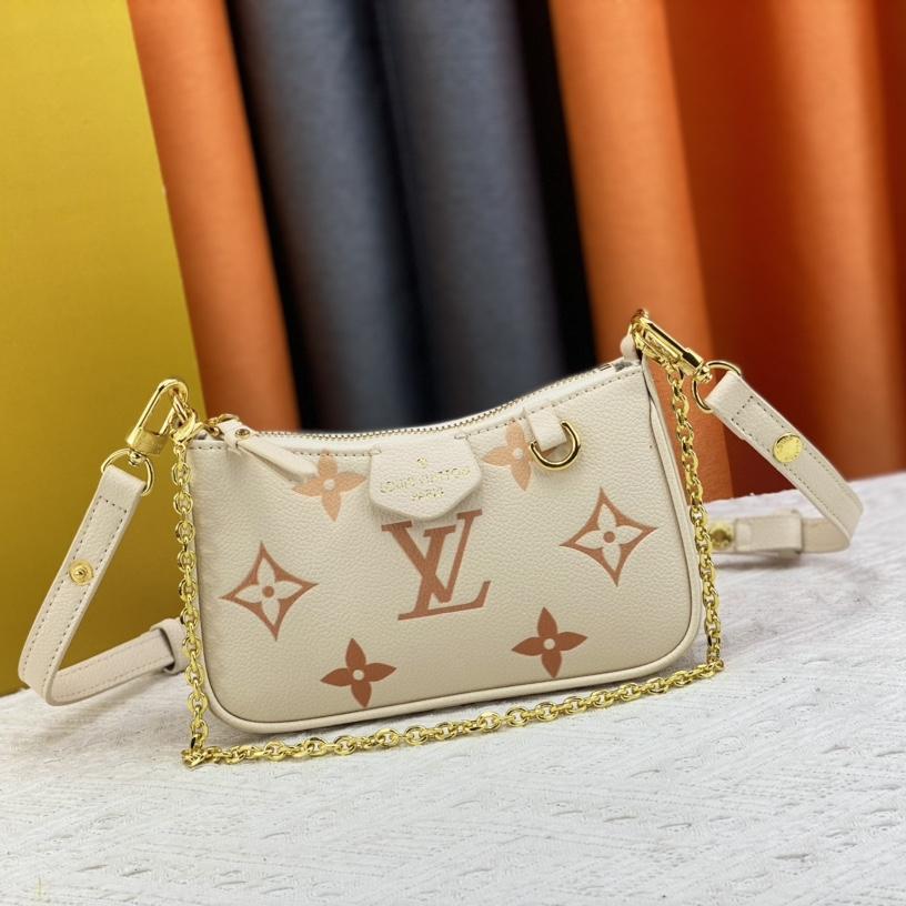 Louis Vuitton LV Easy Pouch Bag