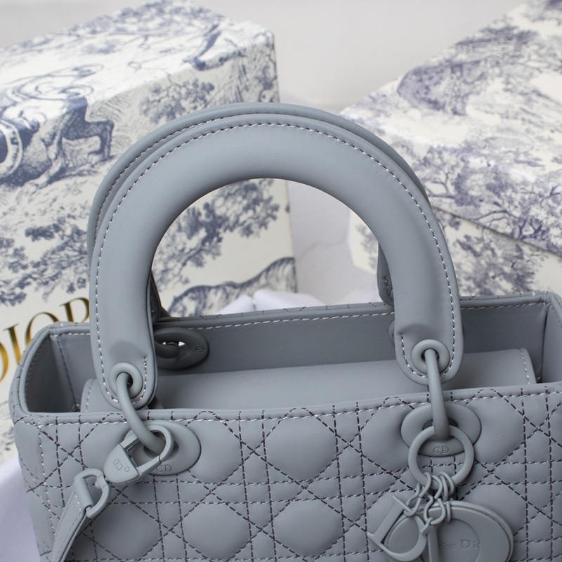 Dior The LADY D-LITE Bag