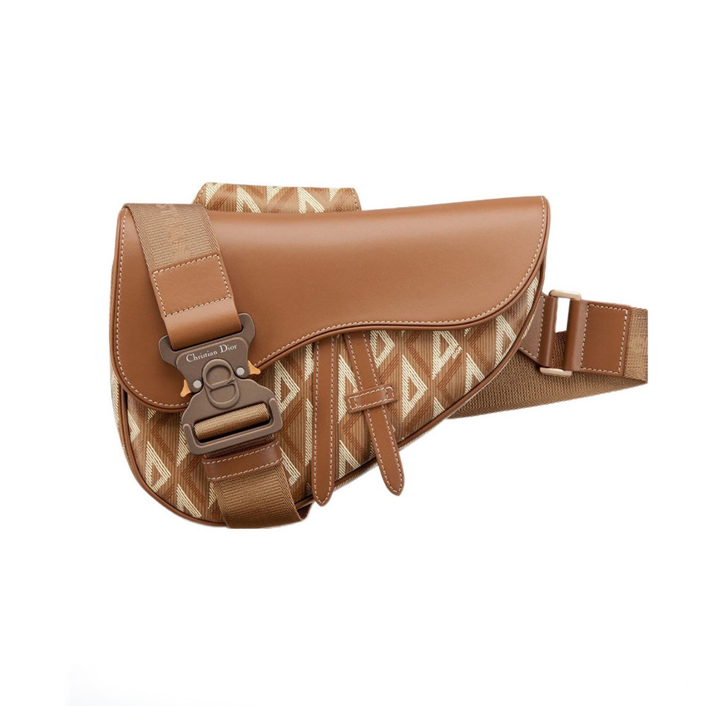 Dior saddle Bag