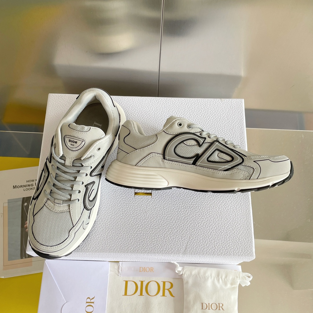 Dior B30 Dad Sneakers Gray