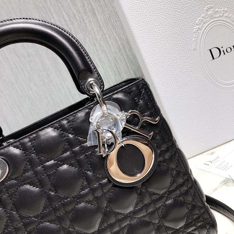 Dior The LADY D-LITE Bag
