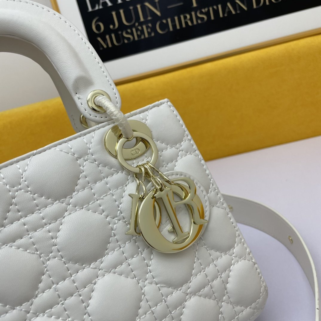 Dior The LADY D-LITE Bag