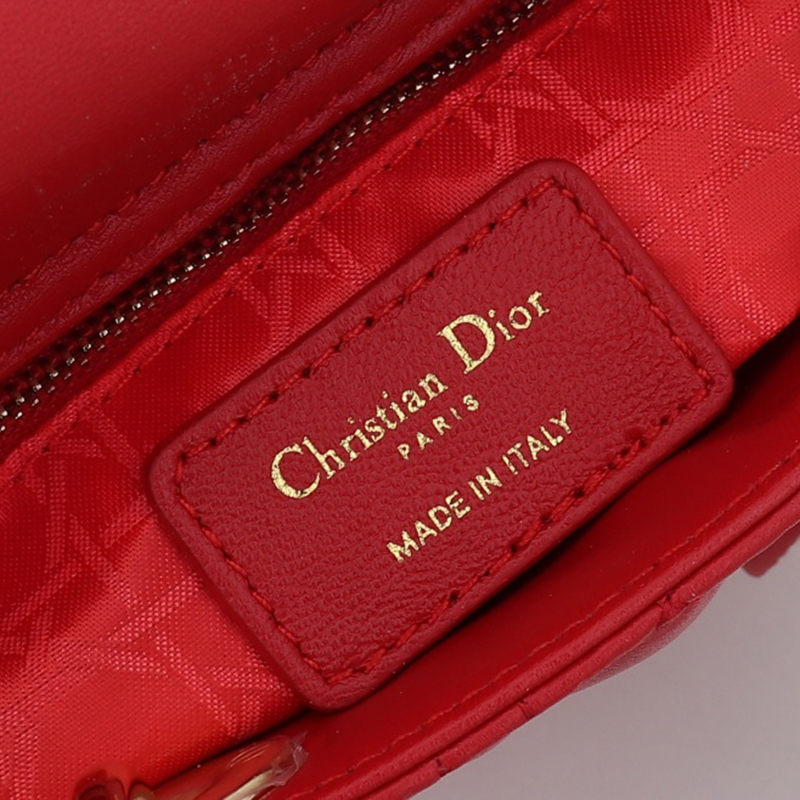Dior The LADY D-LITE Bag
