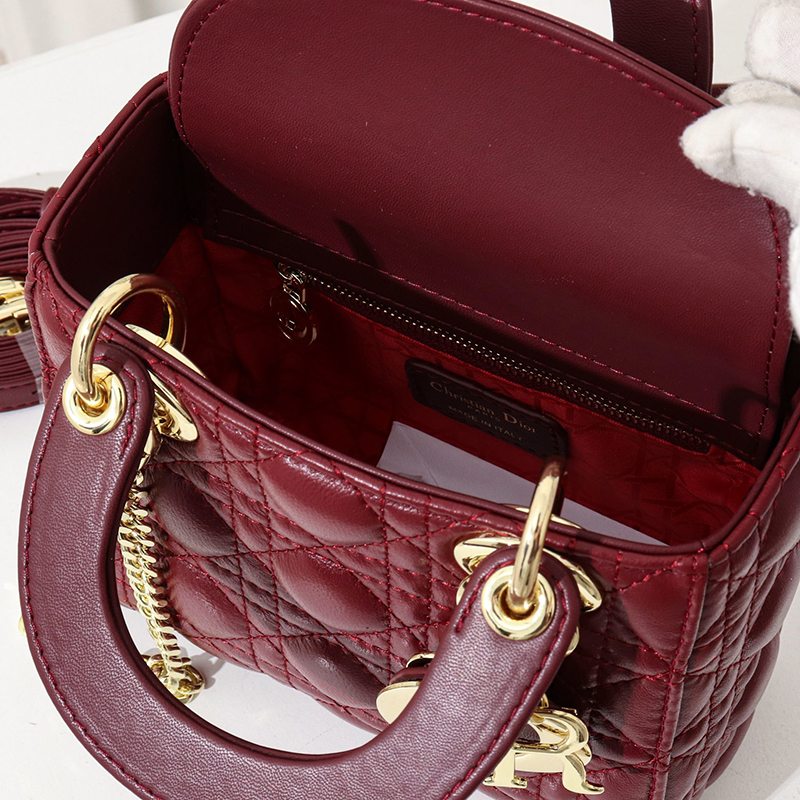 Dior The LADY D-LITE Bag