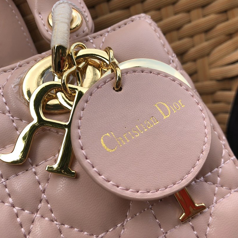 Dior The LADY D-LITE Bag