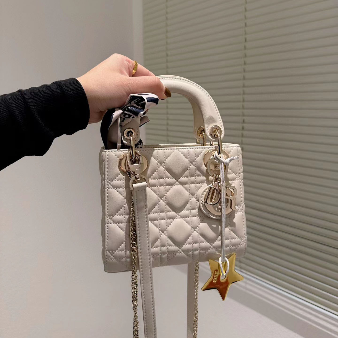 Dior  Mini Lady Bag-