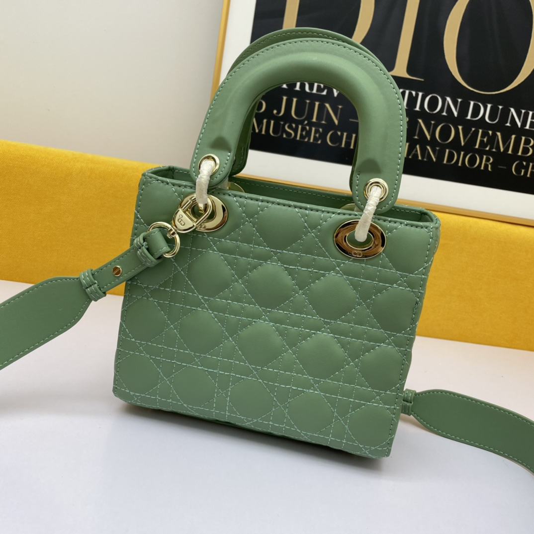 Dior The LADY D-LITE Bag