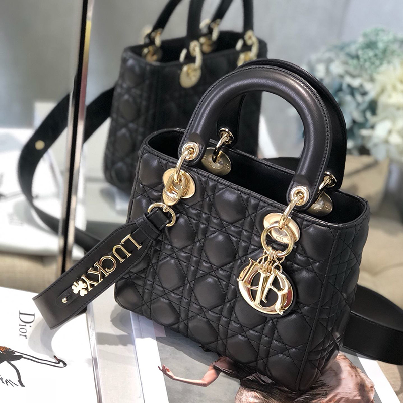 Dior The LADY D-LITE Bag
