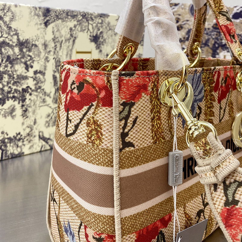 Dior The LADY D-LITE Bag