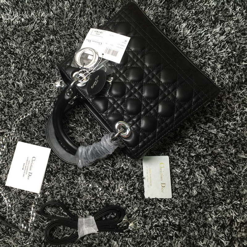 Dior The LADY D-LITE Bag