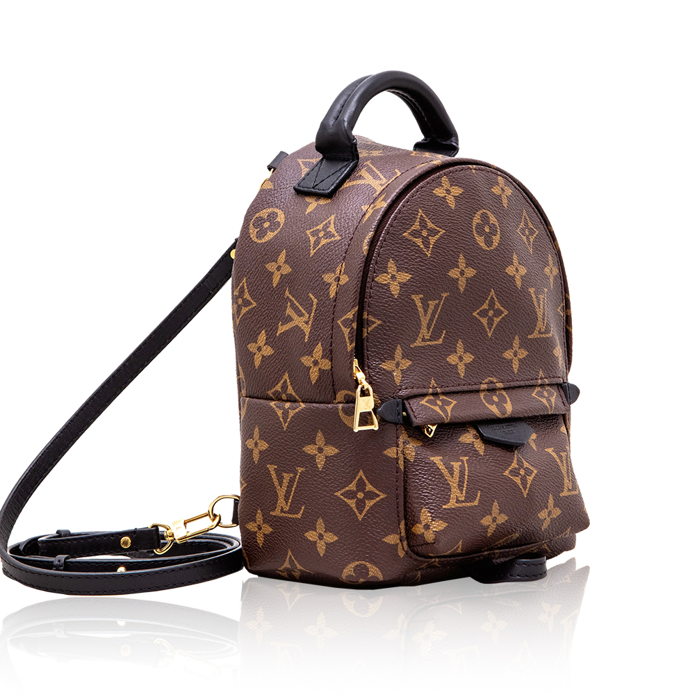 Louis Vuitton LV Palm Springs Backpack Mini&Small&Medium