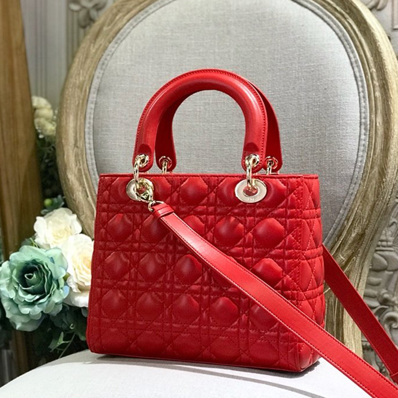 Dior The LADY D-LITE Bag